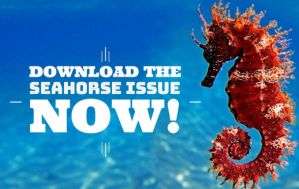 Cool Kids Website Image